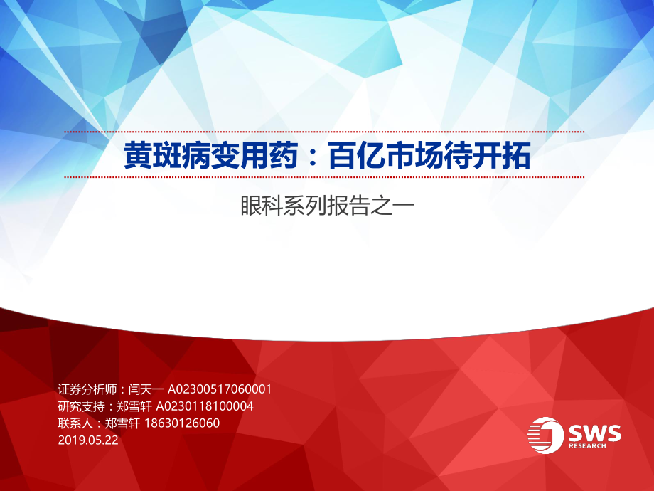 医疗健康行业眼科系列报告之一：黄斑病变用药百亿市场待开拓-20190522-申万宏源-34页.pdf_第1页