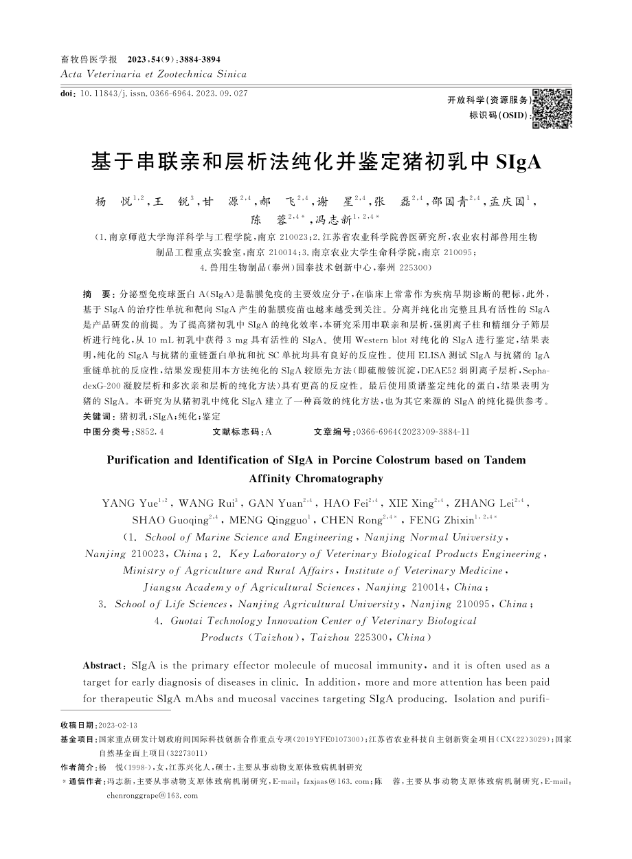 基于串联亲和层析法纯化并鉴定猪初乳中SIgA.pdf_第1页