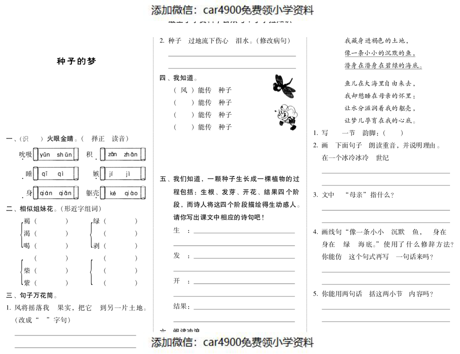 五年级下语文一课一种子的梦北师大版（PDF）（网资源）（）.pdf_第1页