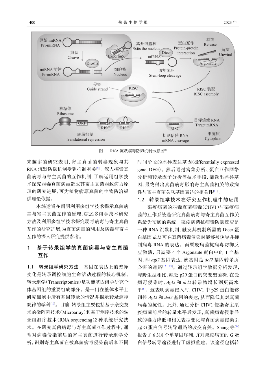 基于多组学的真菌病毒与寄主真菌互作的研究进展.pdf_第2页