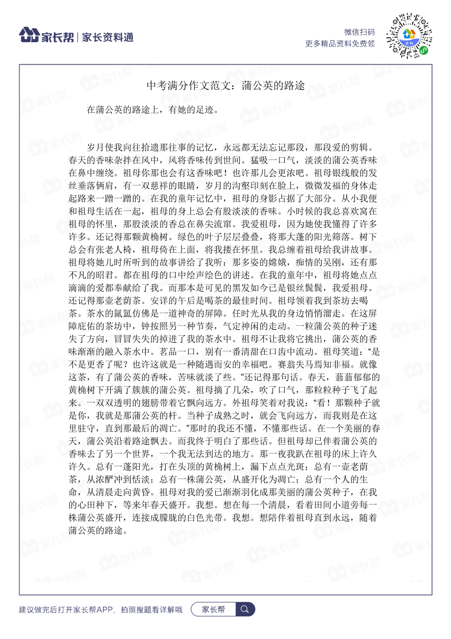 蒲公英的路途.docx_第1页