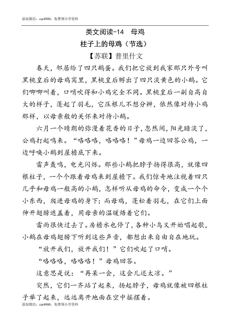 类文阅读-14 母鸡.doc_第1页