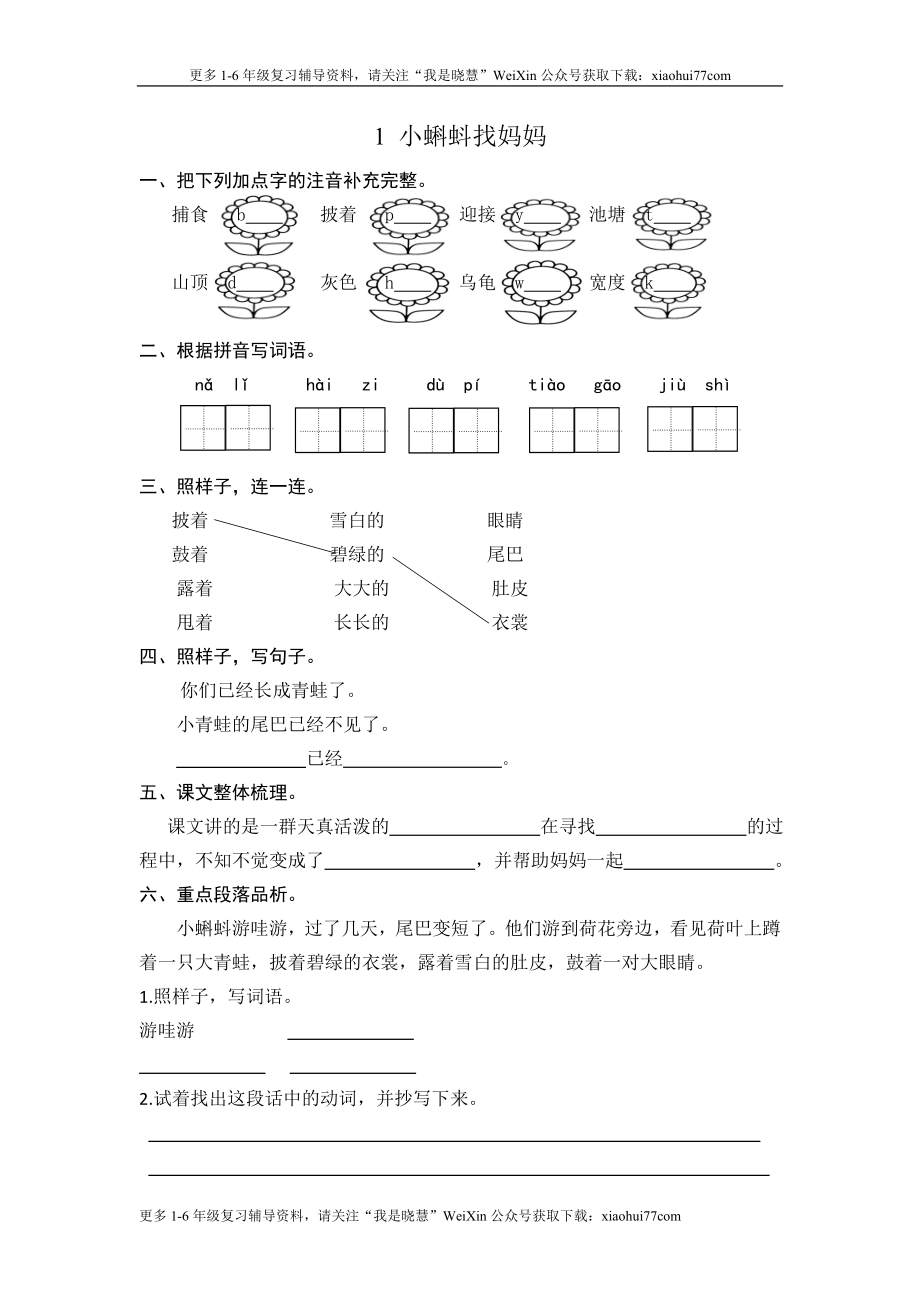 二年级上册部编版-语文课时练习题：小蝌蚪找妈妈.doc_第1页