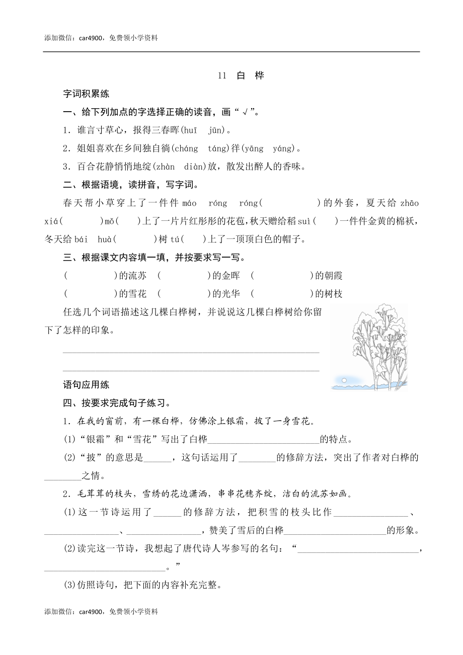 11《白桦》课时测评.docx_第1页