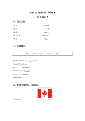 Unit 6 Countries Lesson 1 同步练习3.doc