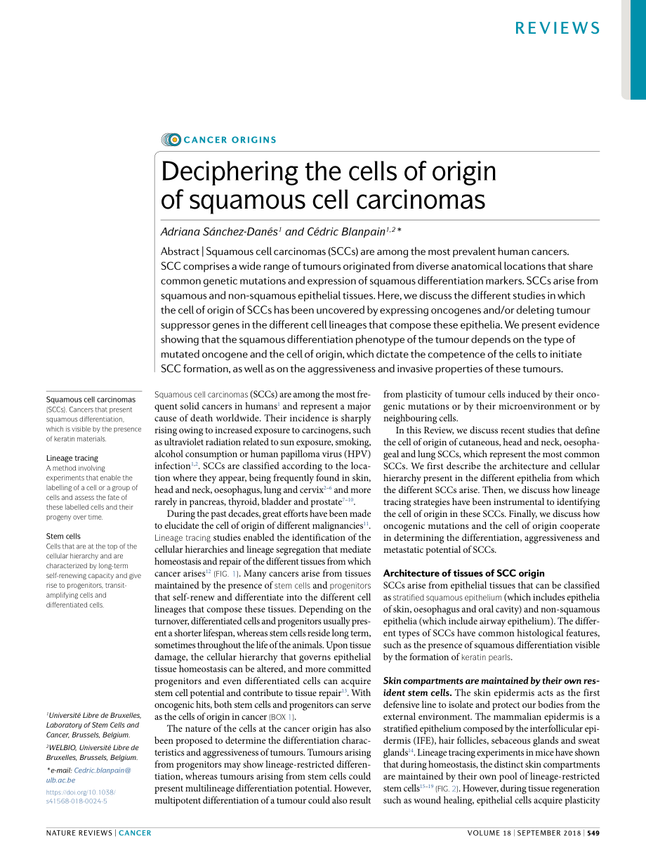 Sanchez-Danes-2018-Deciphering the cells of or.pdf_第1页