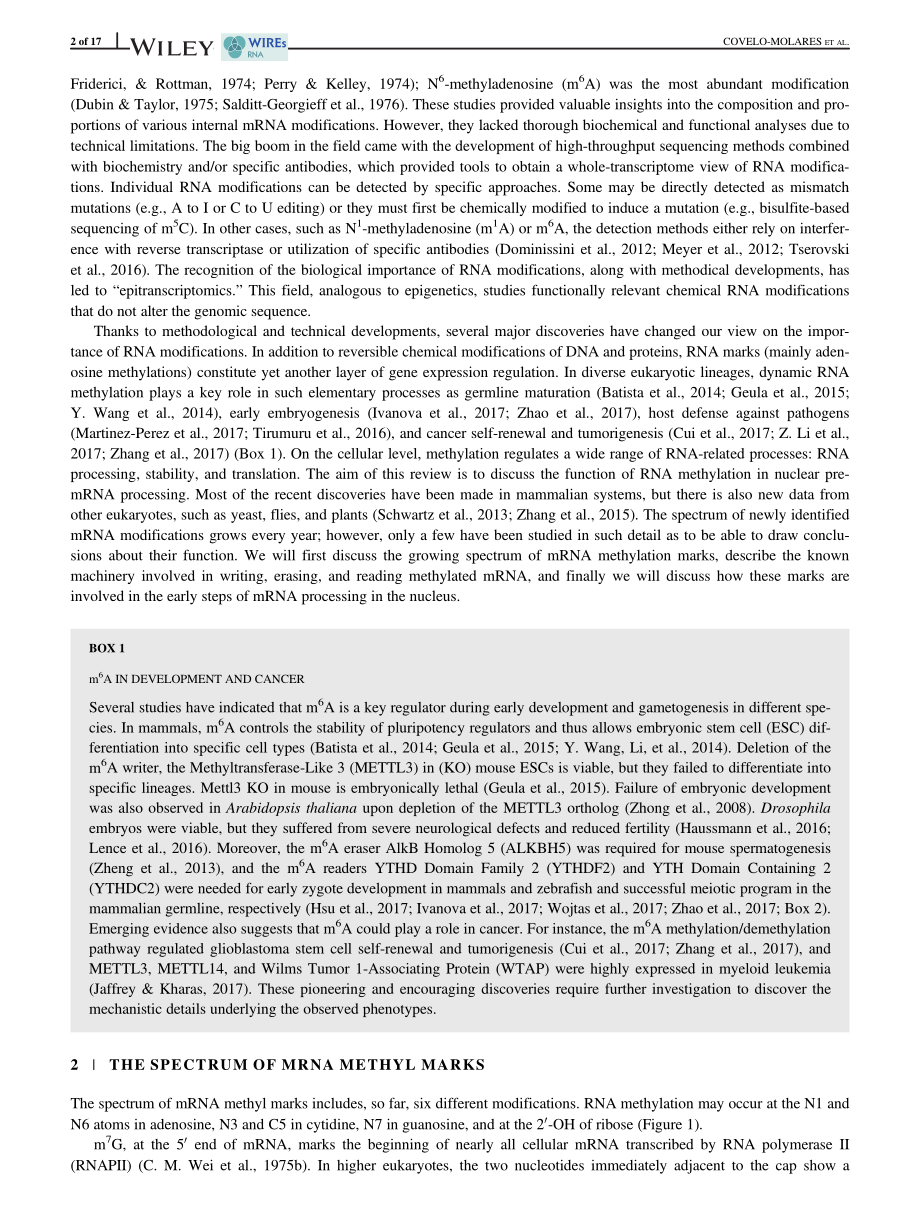 RNA methylation in nuclear pre-mRNA processing.pdf_第2页