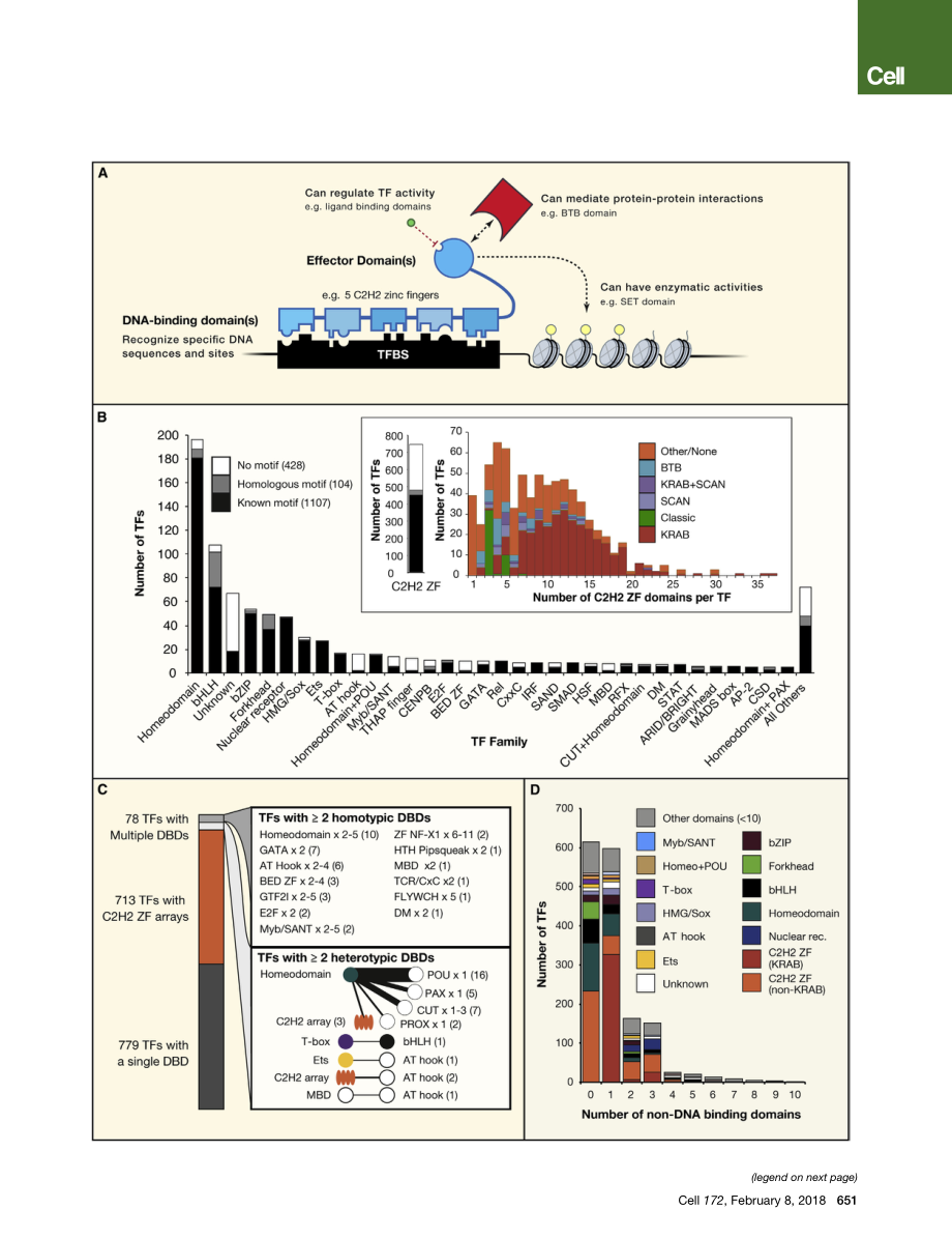 The Human Transcription Factors.pdf_第2页