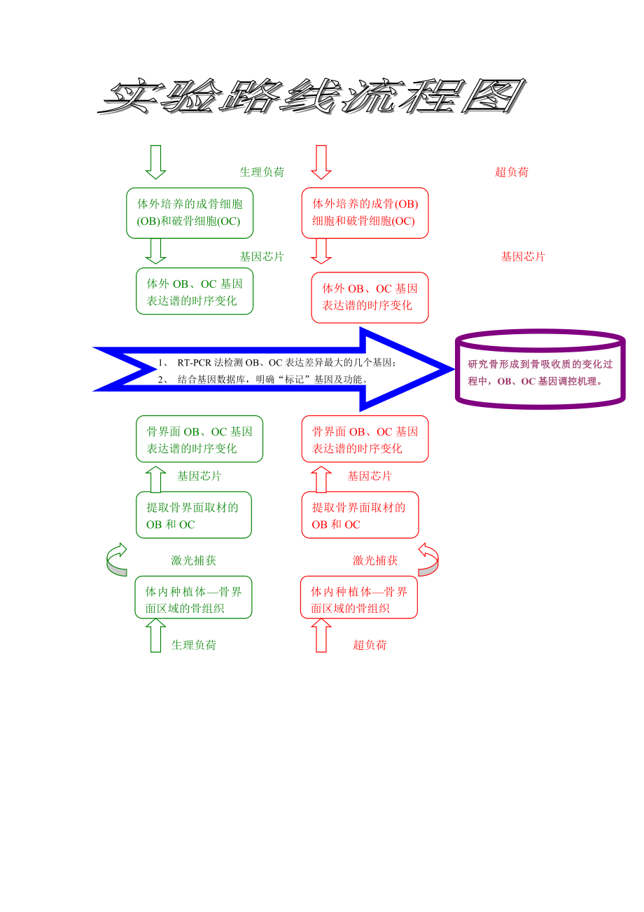 技术路线图1.doc_第1页