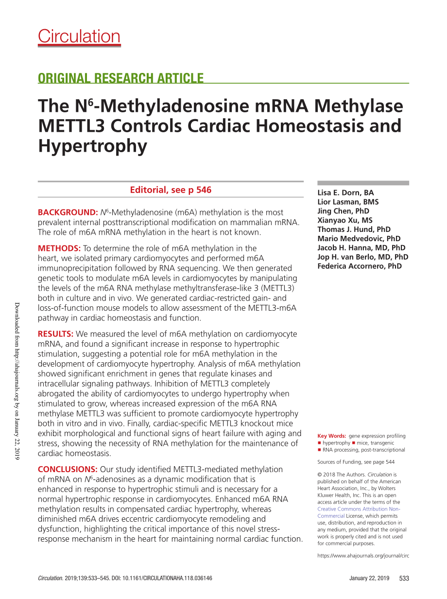 2、Circulation 2019-m6A甲基化酶mettl3控制心脏稳态和肥大.pdf_第1页