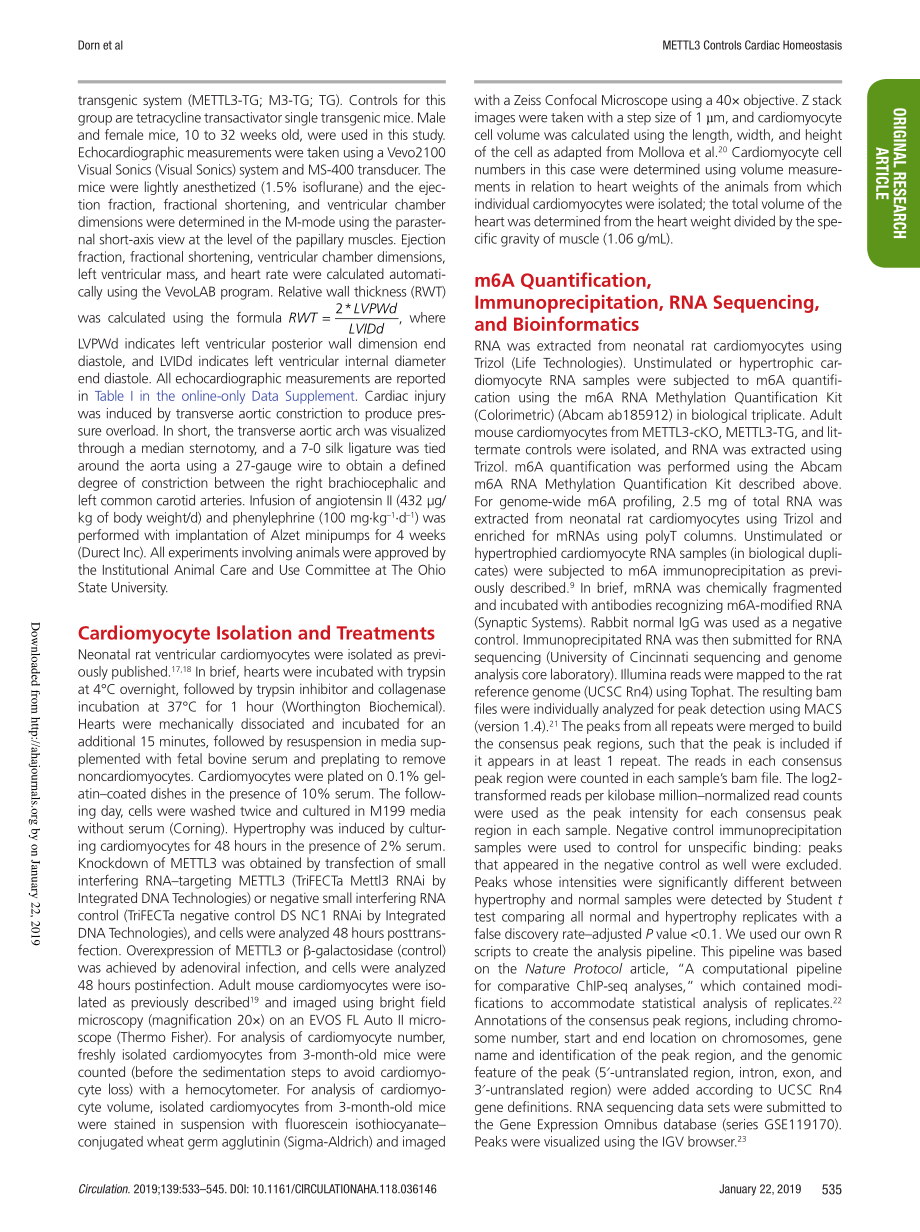 2、Circulation 2019-m6A甲基化酶mettl3控制心脏稳态和肥大.pdf_第3页