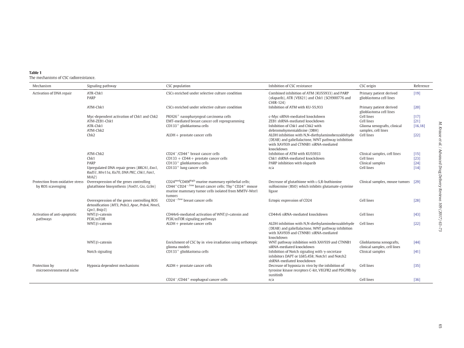 Krause-2017-Cancer stem cells_ Radioresistance.pdf_第3页