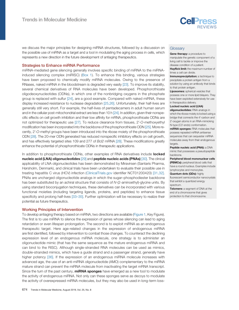 Tackling Aging by Using miRNA as a Target and.pdf_第2页