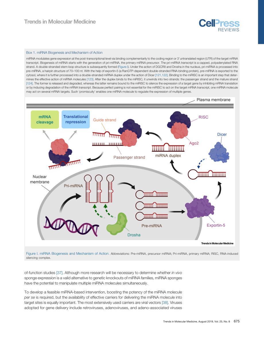 Tackling Aging by Using miRNA as a Target and.pdf_第3页