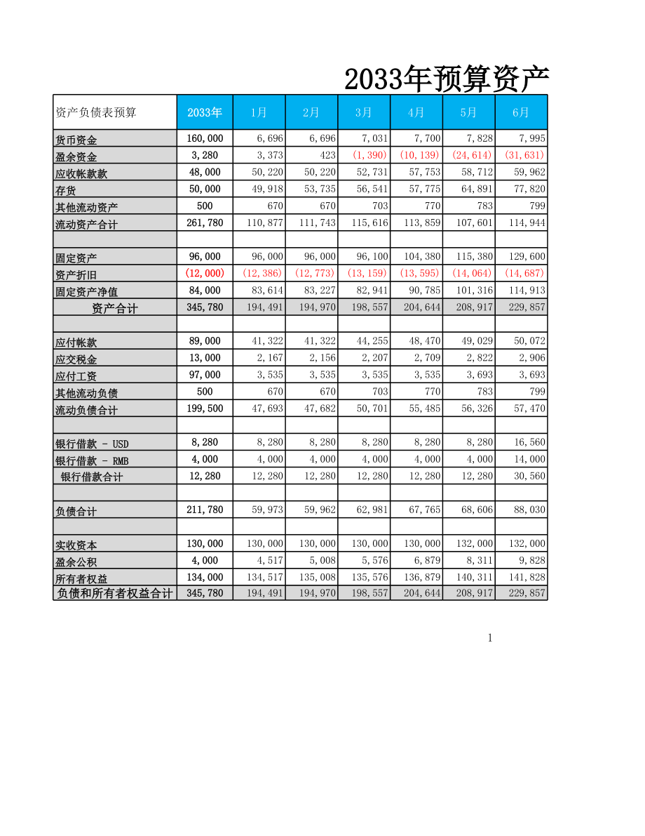 预算资产负债表.xlsx_第1页