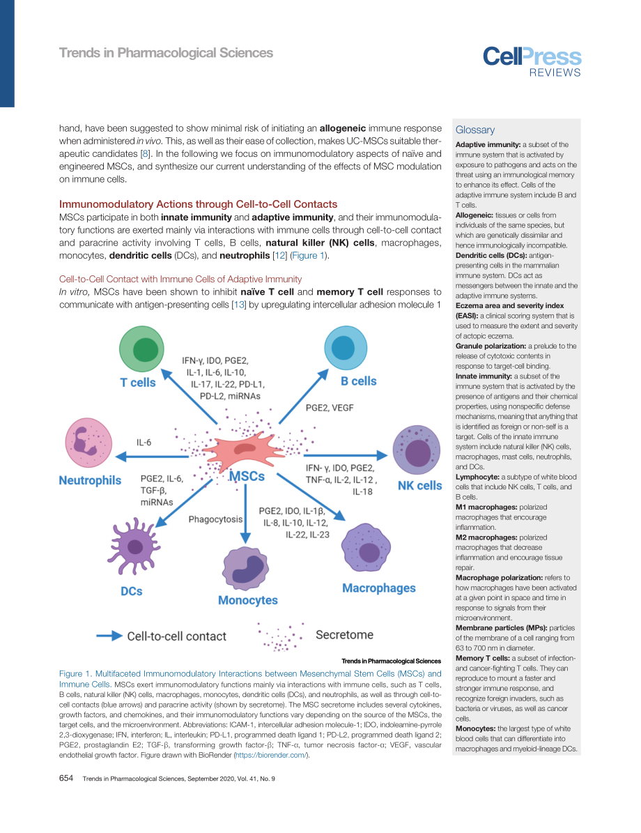 Mesenchymal Stem Cell Immunomodulation Mechani.pdf_第2页