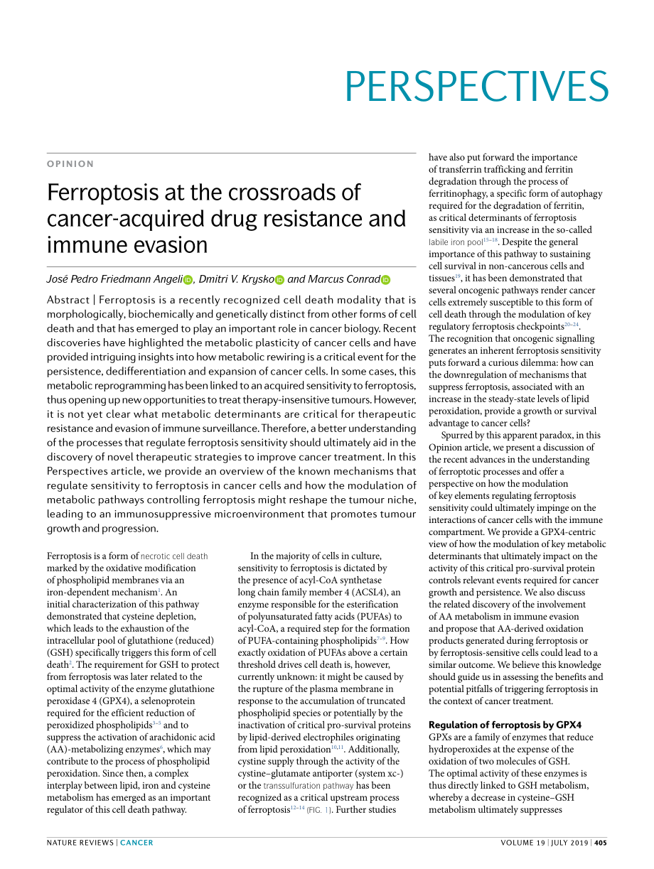 Ferroptosis at the crossroads of cancer- acqui.pdf_第1页