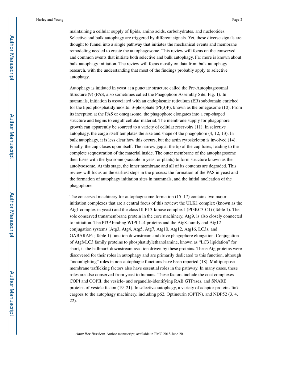 Mechanisms of Autophagy Initiation.pdf_第2页