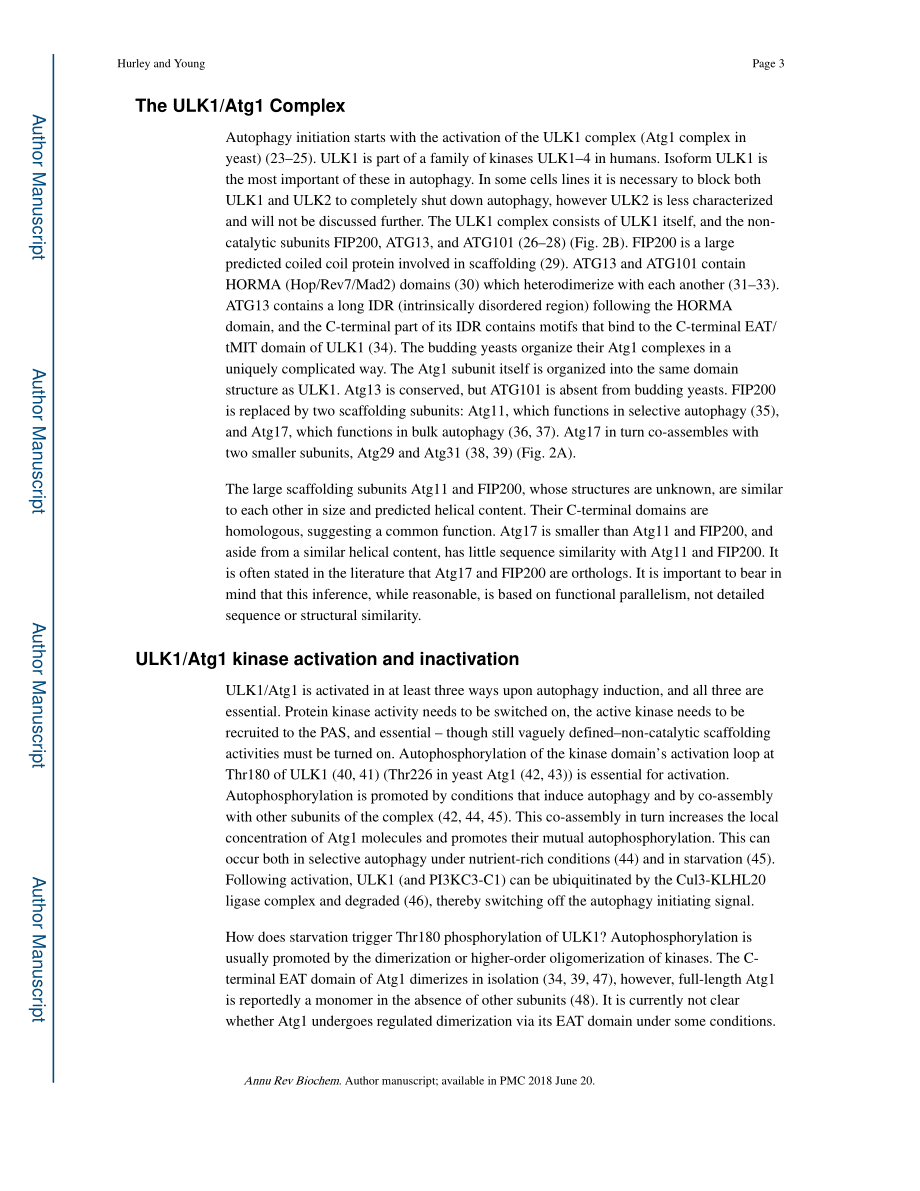 Mechanisms of Autophagy Initiation.pdf_第3页