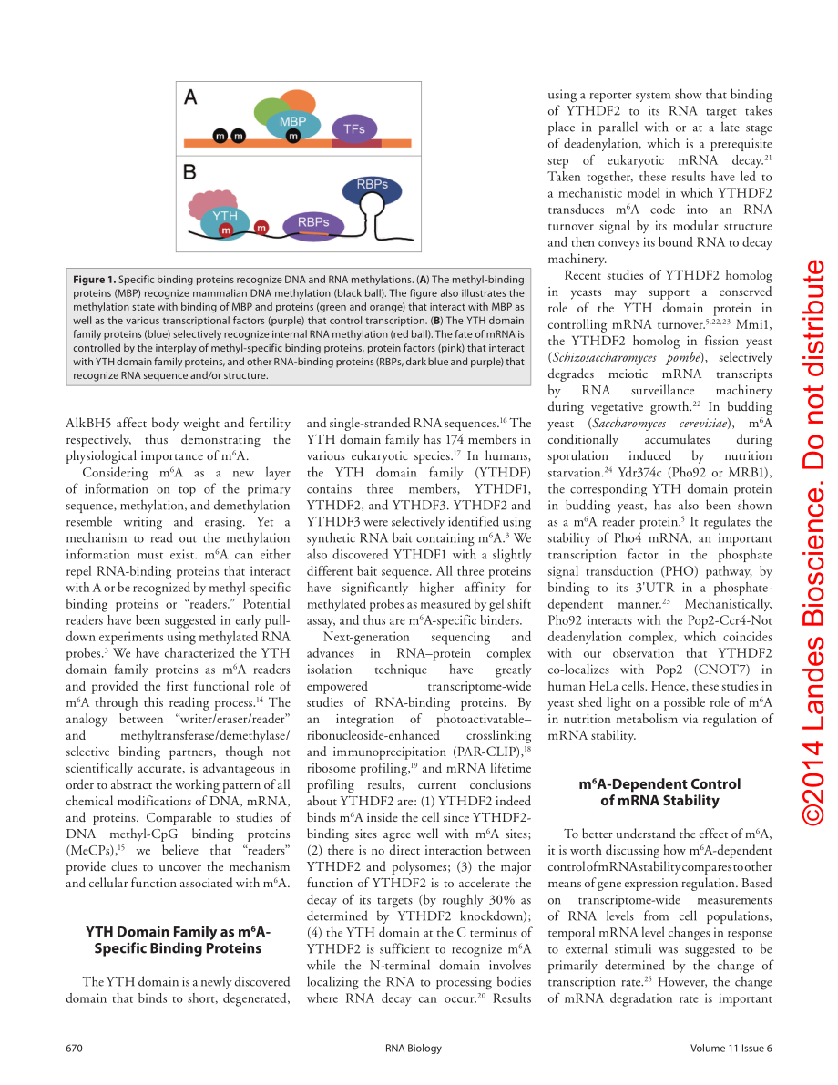 Reading RNA methylation codes through methyl-specific binding proteins.pdf_第2页