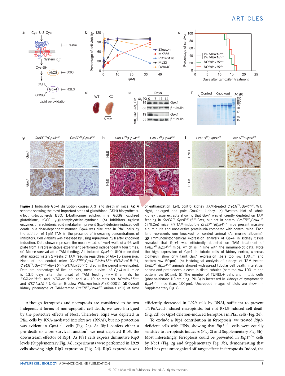 PMID：25402683.pdf_第3页