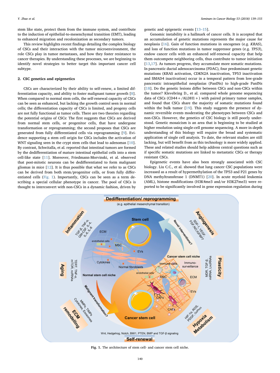 Zhao-2018-Targeting cancer stem cells and thei.pdf_第2页