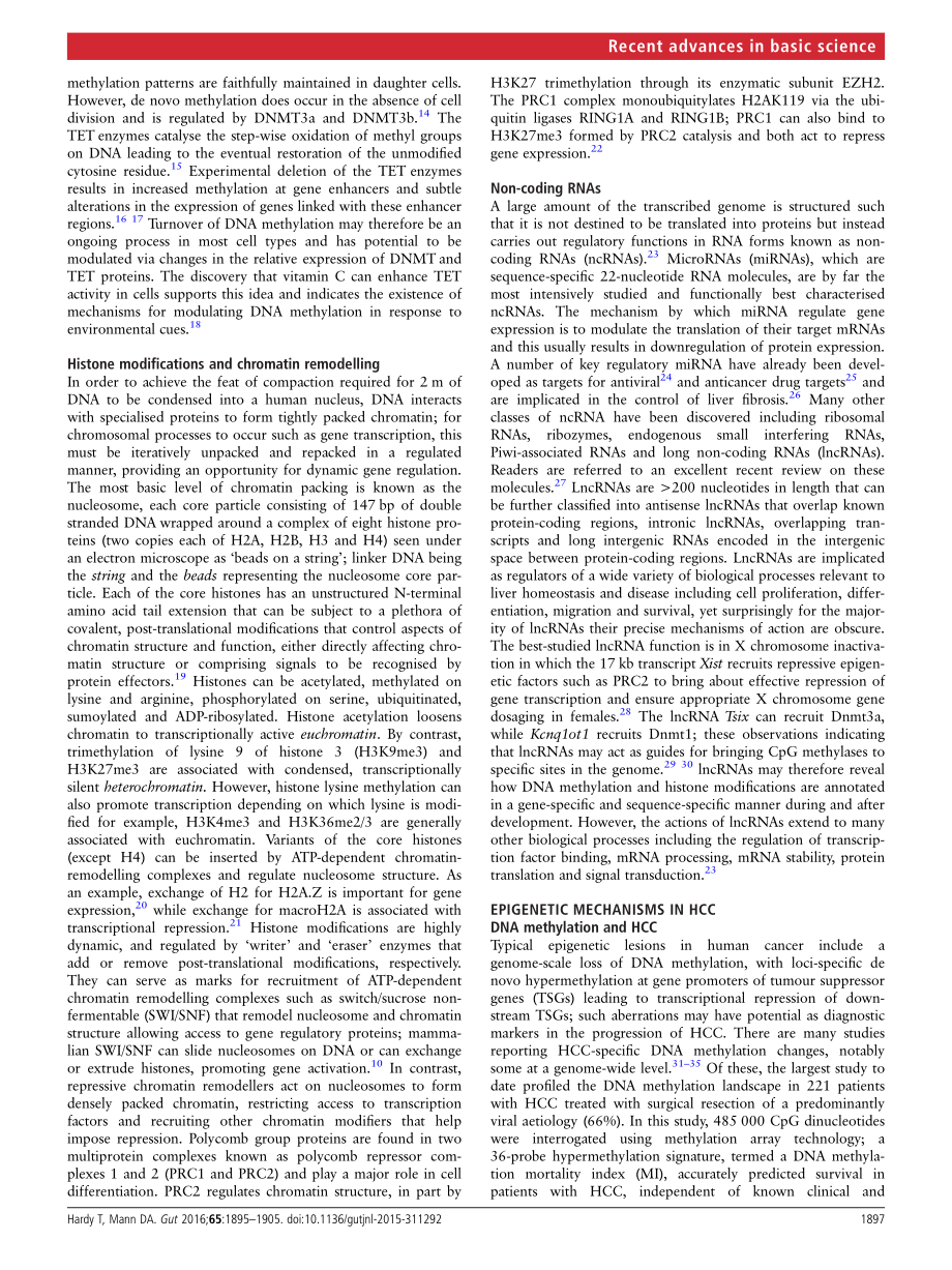 Epigenetics in liver disease-from biology to therapeutics.pdf_第3页