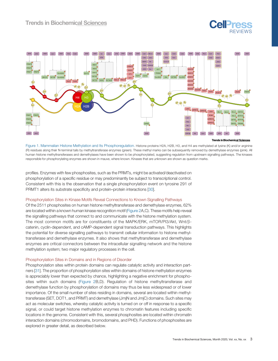 Controlling the Controllers Regulation of Hist.pdf_第3页