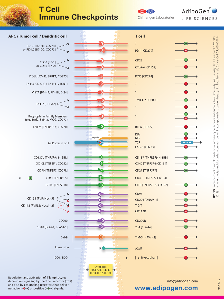 TCell_Immune_Checkpoints_2016_210_x_280mm_FINAL_lowres.pdf_第1页