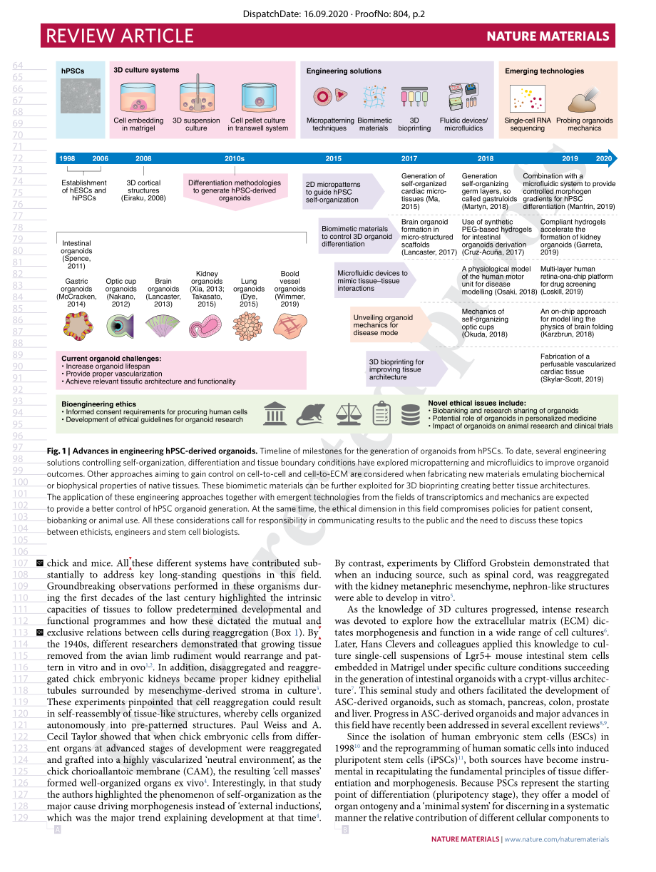 Rethinking organoid technology through bioengineering.pdf_第2页