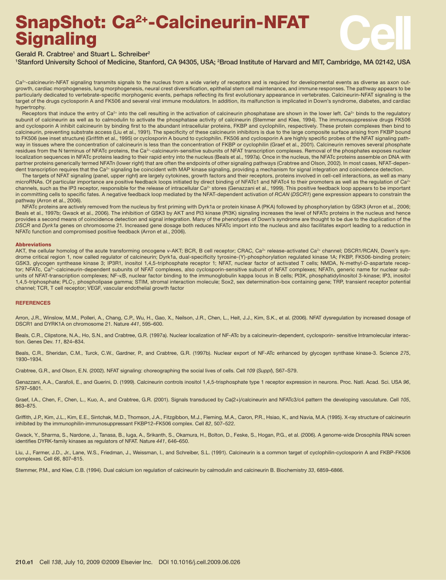 Ca2+-Calcineurin-NFAT Signaling.PDF_第2页