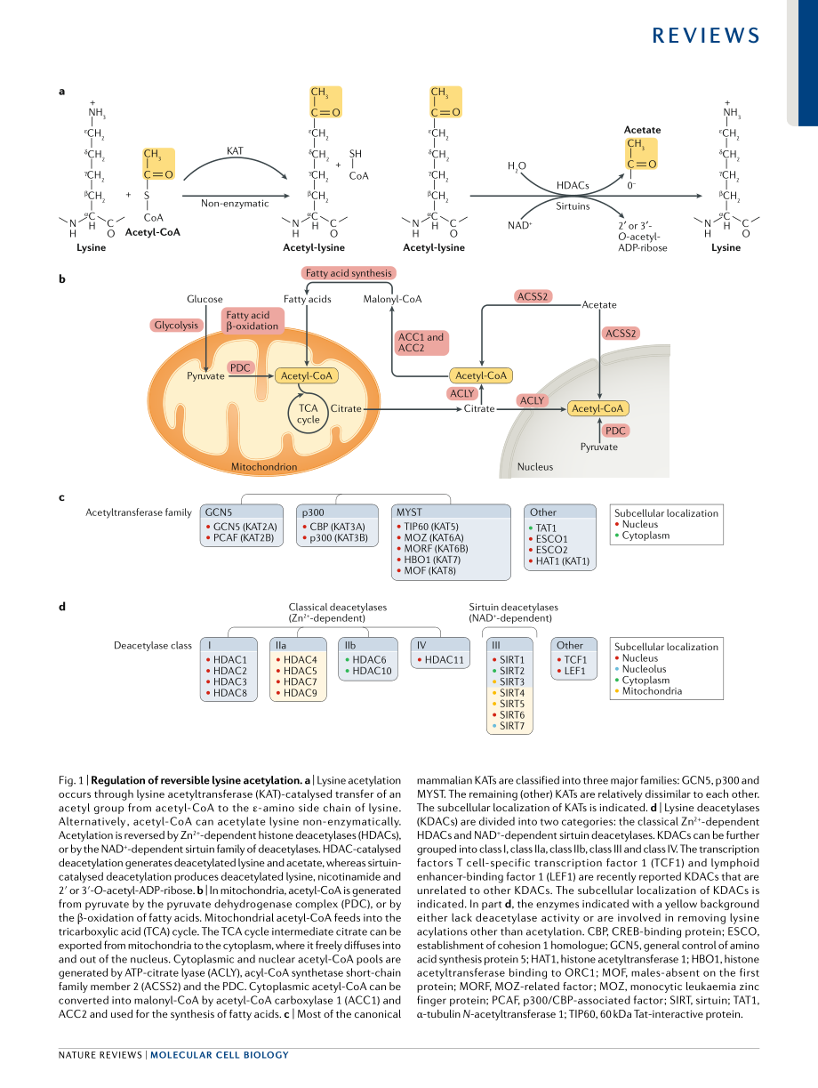 Narita-2018-Functions and mechanisms of non-hi.pdf_第3页