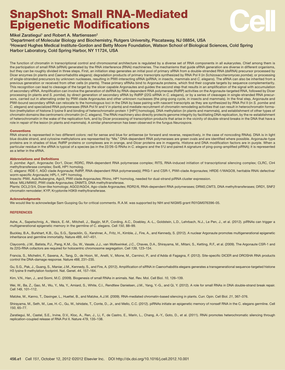 Small RNA-Mediated Epigenetic Modifications 2.pdf_第2页