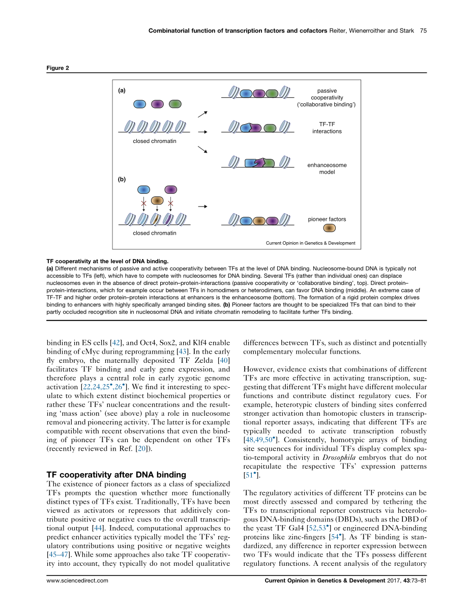 Combinatorial function of transcription factors and cofactors.pdf_第3页