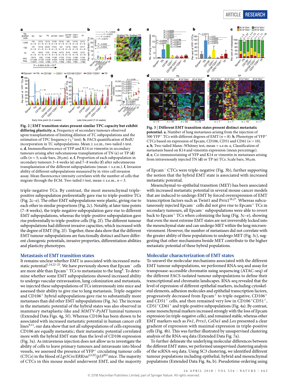 Nature. 2018 EMT过程中肿瘤转移状态的识别.pdf_第3页