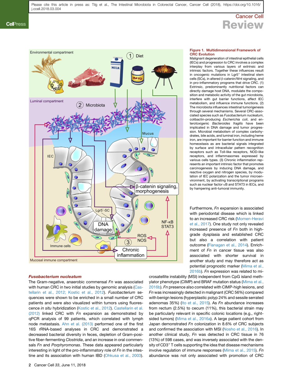 The Intestinal Microbiota in Colorectal Cancer.pdf_第2页