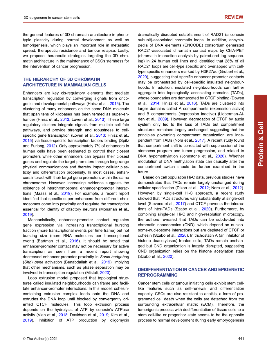 3D chromatin architecture and epigenetic regulation in cancer stem cells.__3D chromatin architecture and epigenetic regulation in cancer stem cells..pdf_第2页