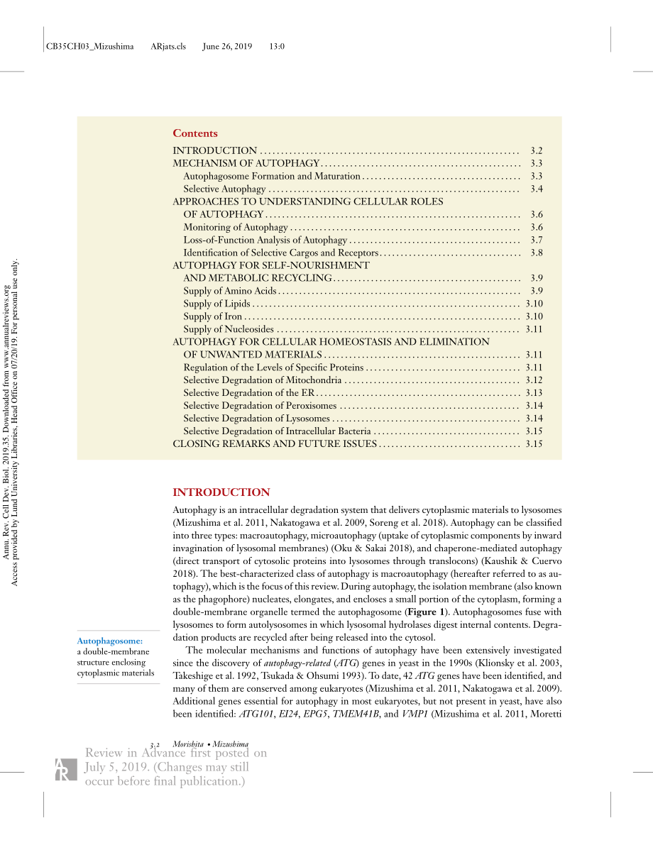 Diverse Cellular Roles of Autophagy.pdf_第2页