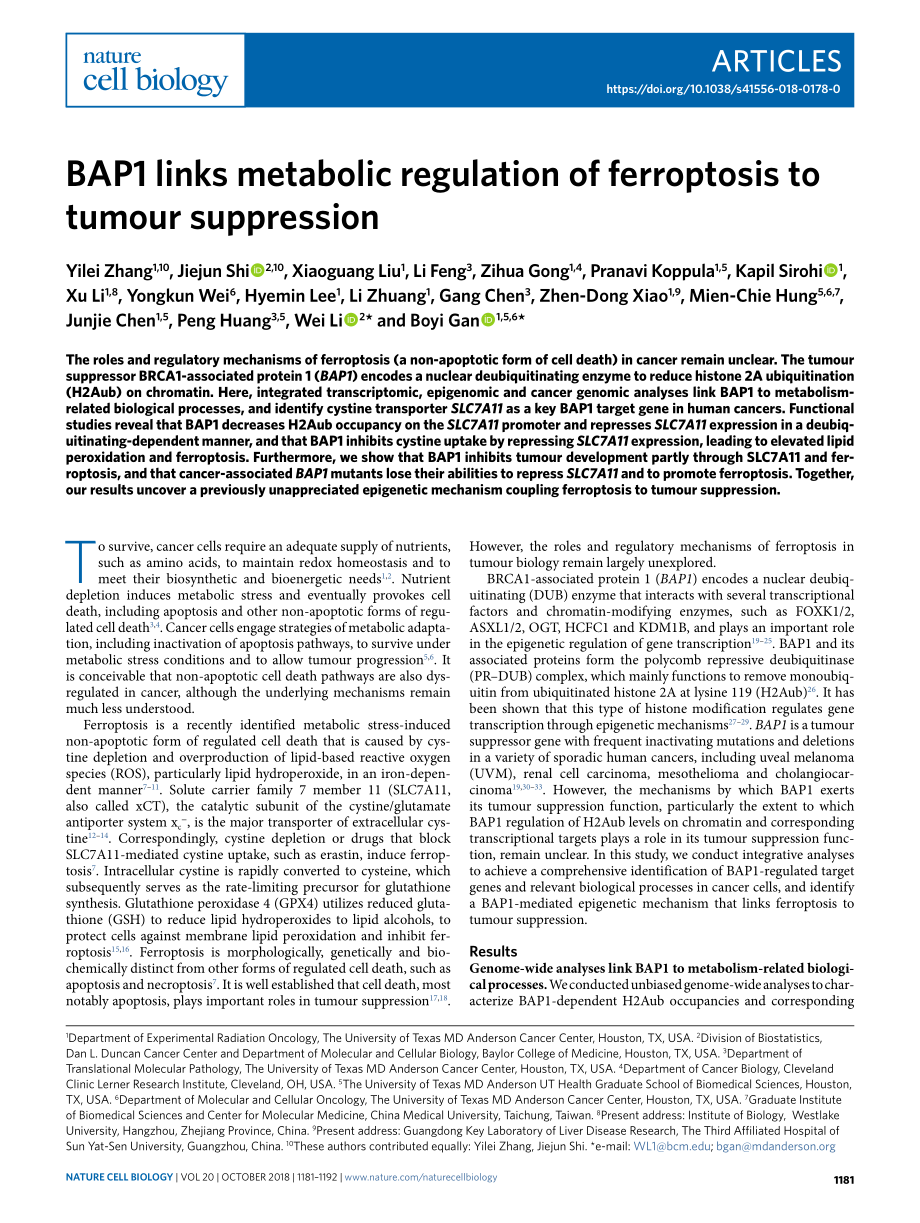 2018-Zhang-BAP1将ferroptosis的代谢调节与肿瘤抑制联系起来.pdf_第1页