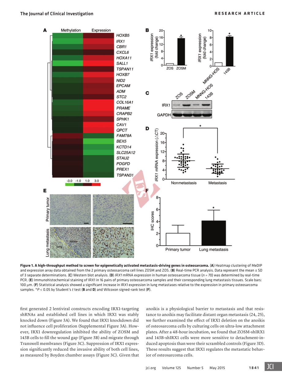 PMID：25822025.pdf_第3页