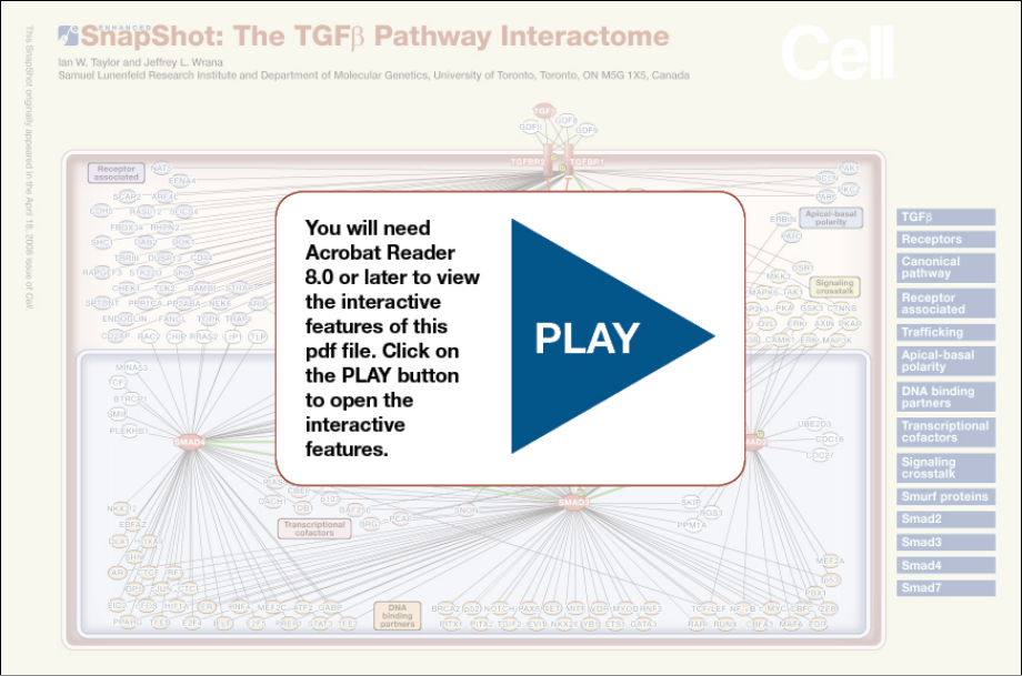 The TGFβ Pathway Interactome ENHANCED.PDF_第1页