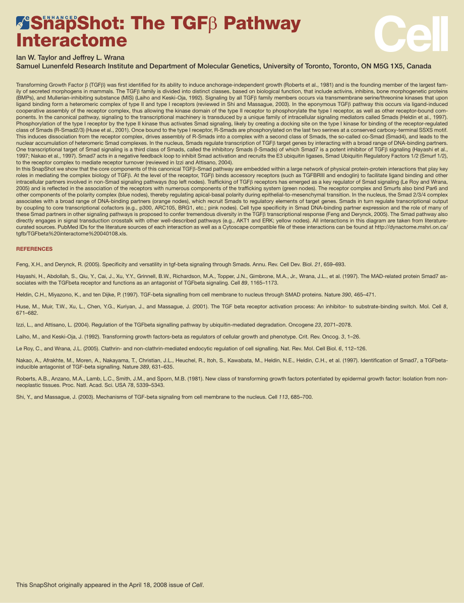 The TGFβ Pathway Interactome ENHANCED.PDF_第2页