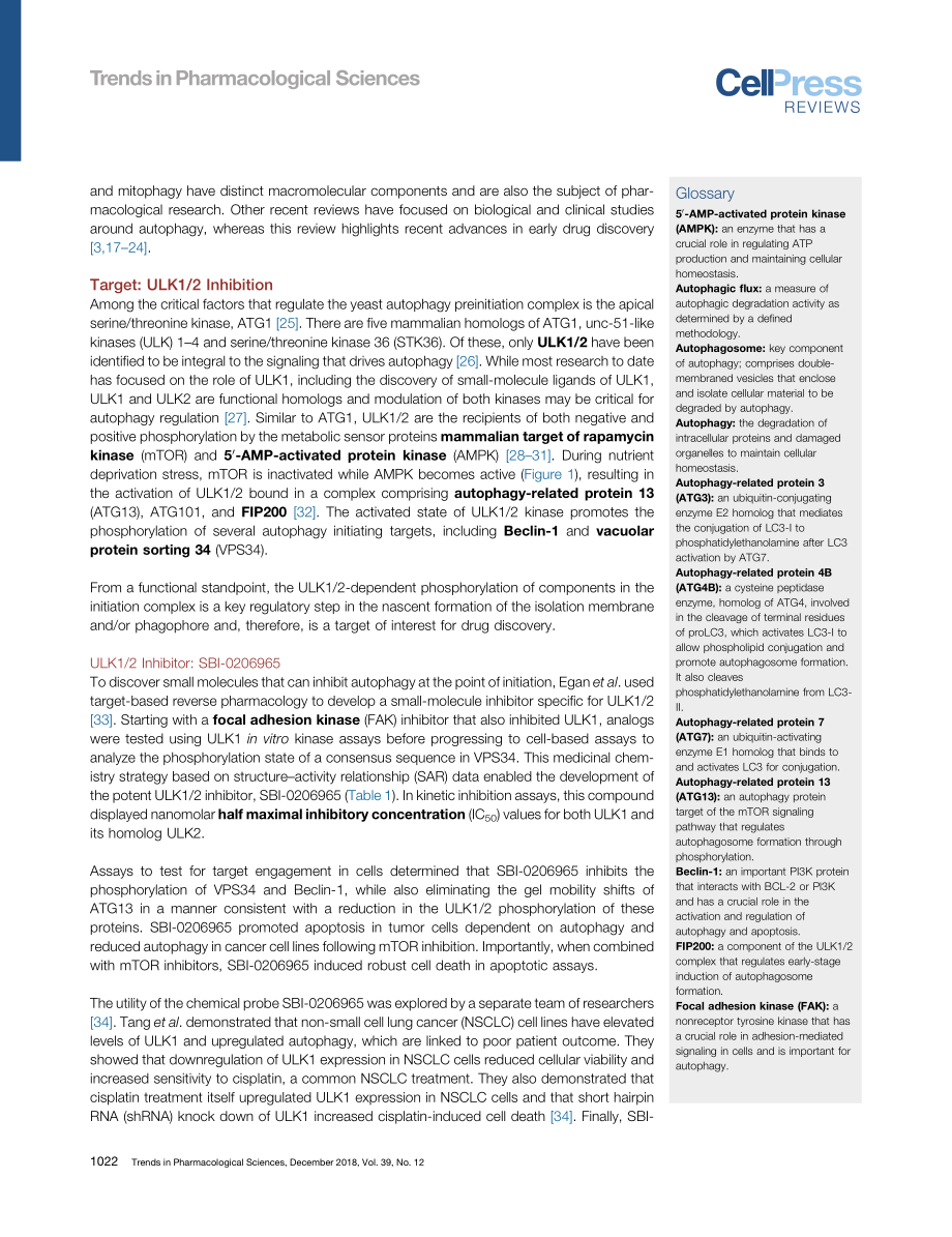 Autophagy in Cancer-Regulation by Small Molecules.pdf_第2页