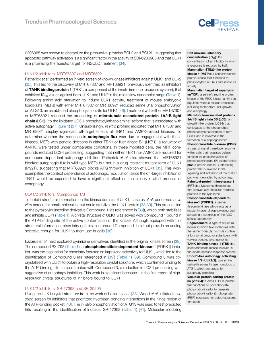 Autophagy in Cancer-Regulation by Small Molecules.pdf_第3页