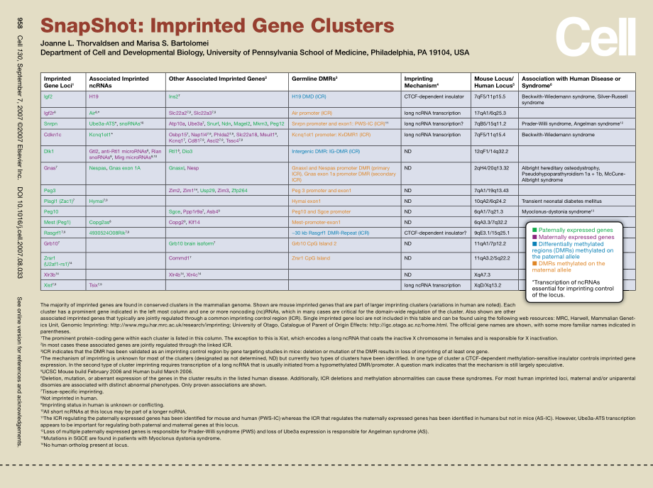 Imprinted Gene Clusters.PDF_第1页