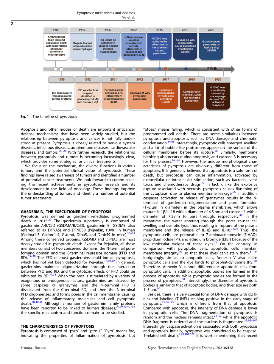 Pyroptosis_ mechanisms and diseases.pdf_第2页