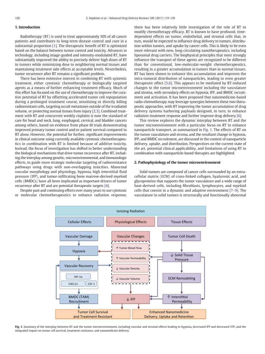 Stapleton-2017-Radiation effects on the tumor.pdf_第2页