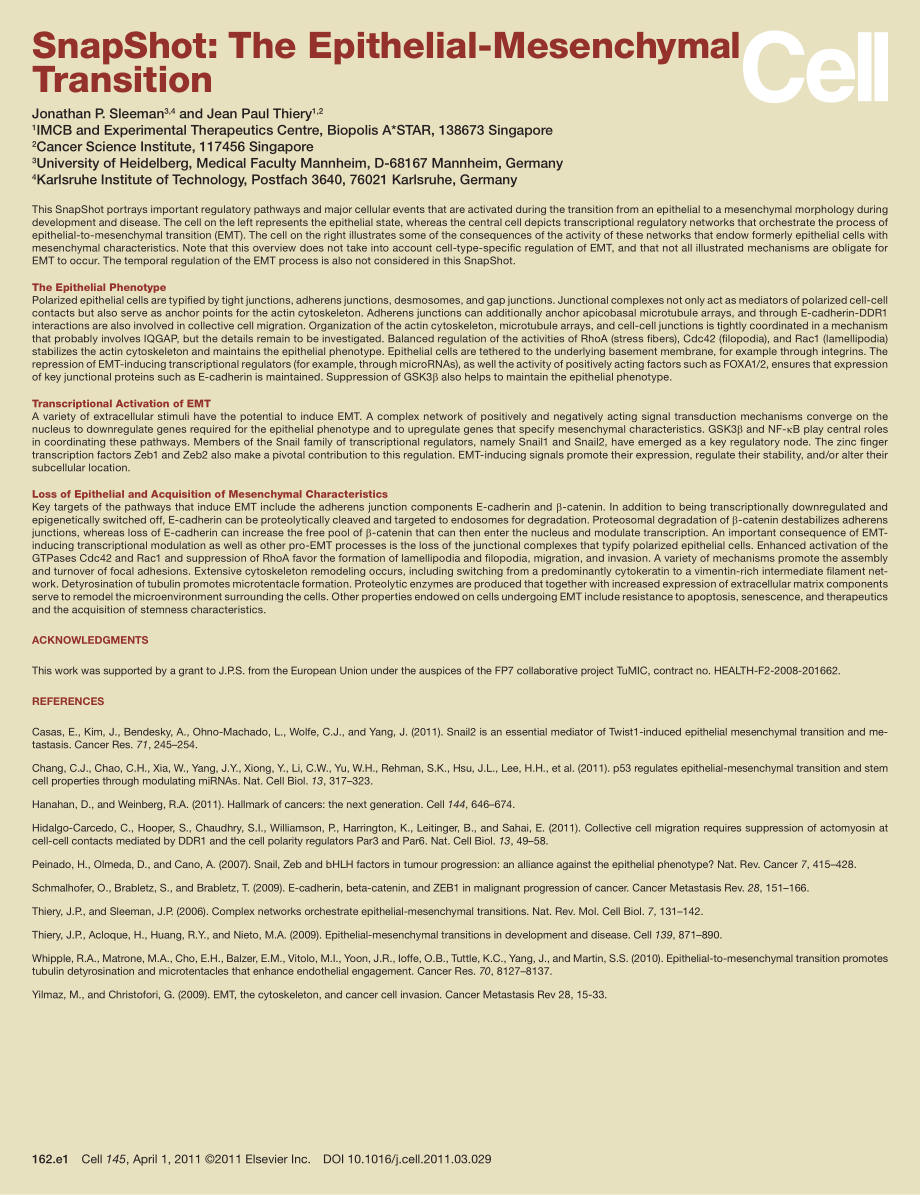 The Epithelial-Mesenchymal Transition.pdf_第2页