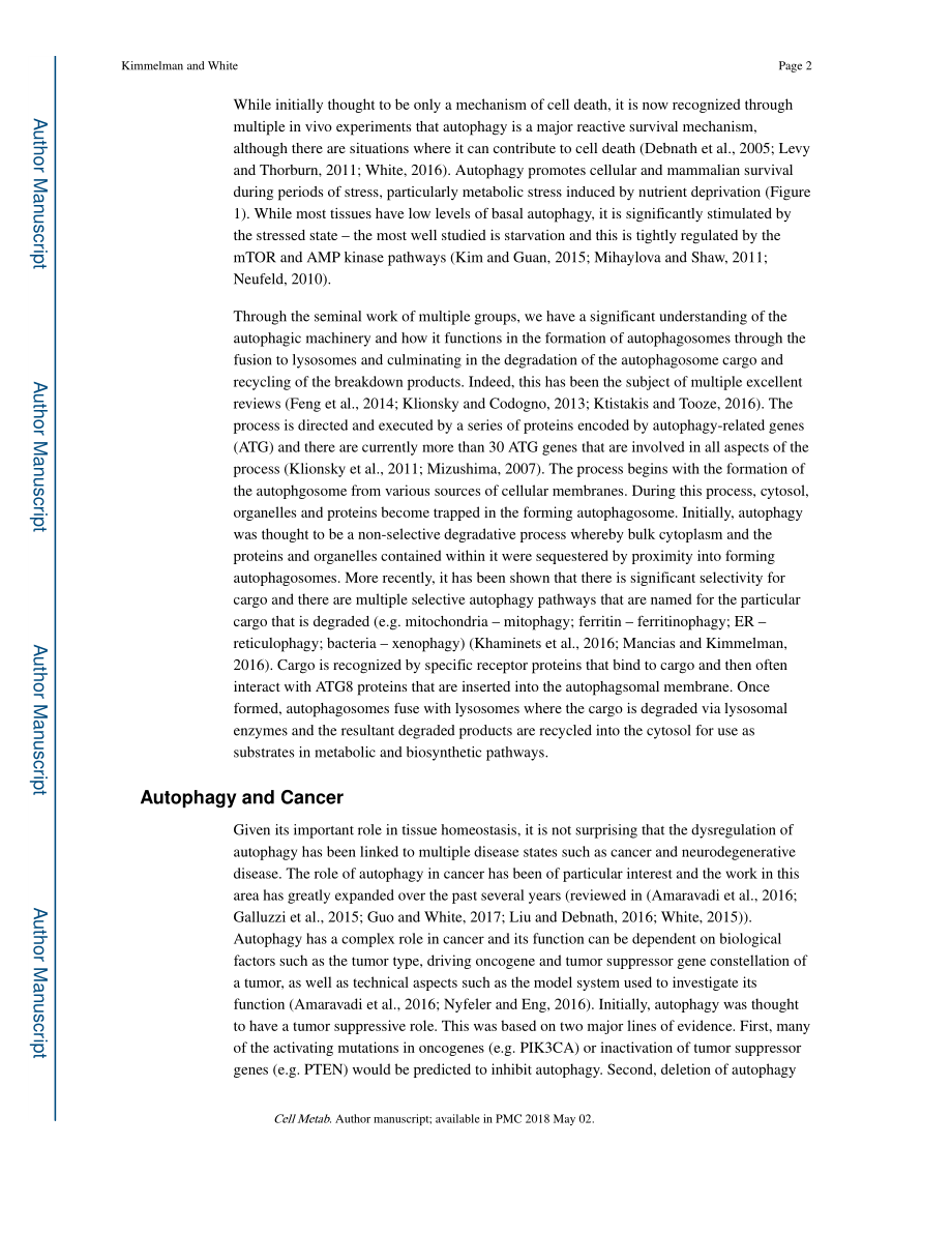 Autophagy and Tumor Metabolism.pdf_第2页