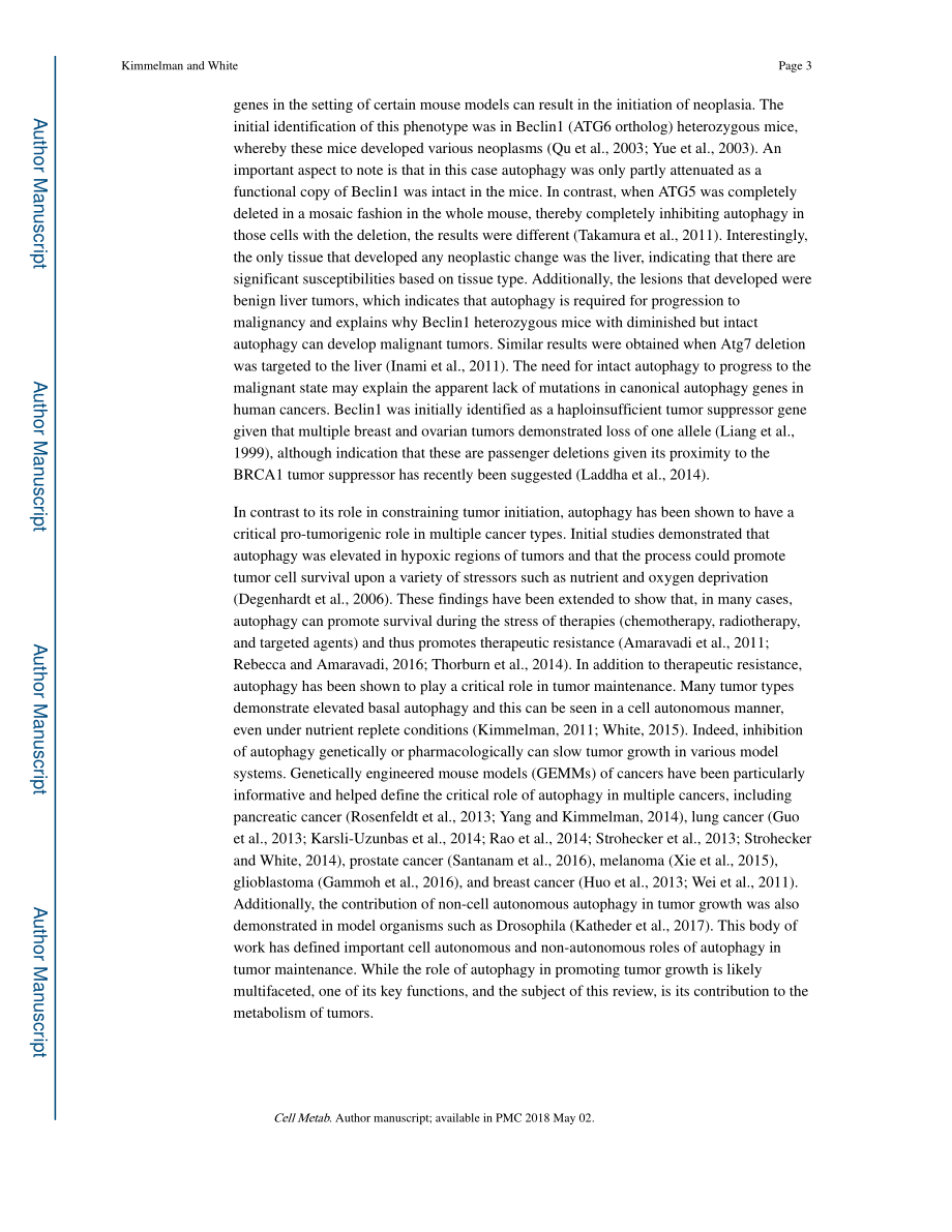 Autophagy and Tumor Metabolism.pdf_第3页